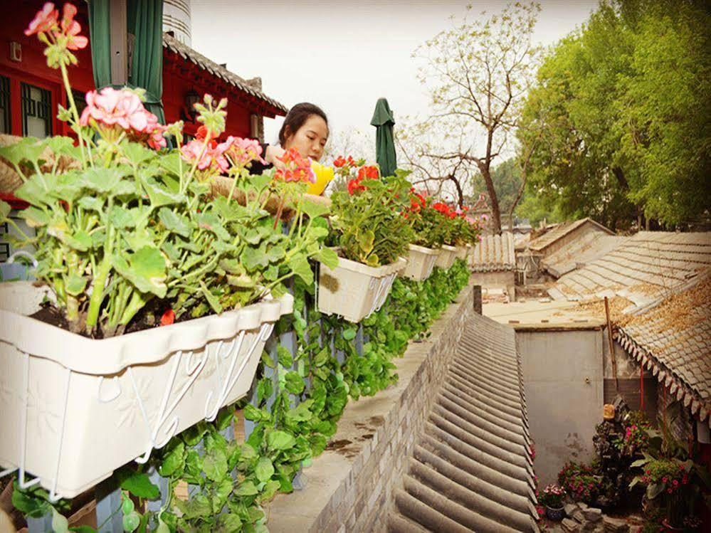 Beijing 161 Lama Temple Courtyard Hotel Exteriér fotografie