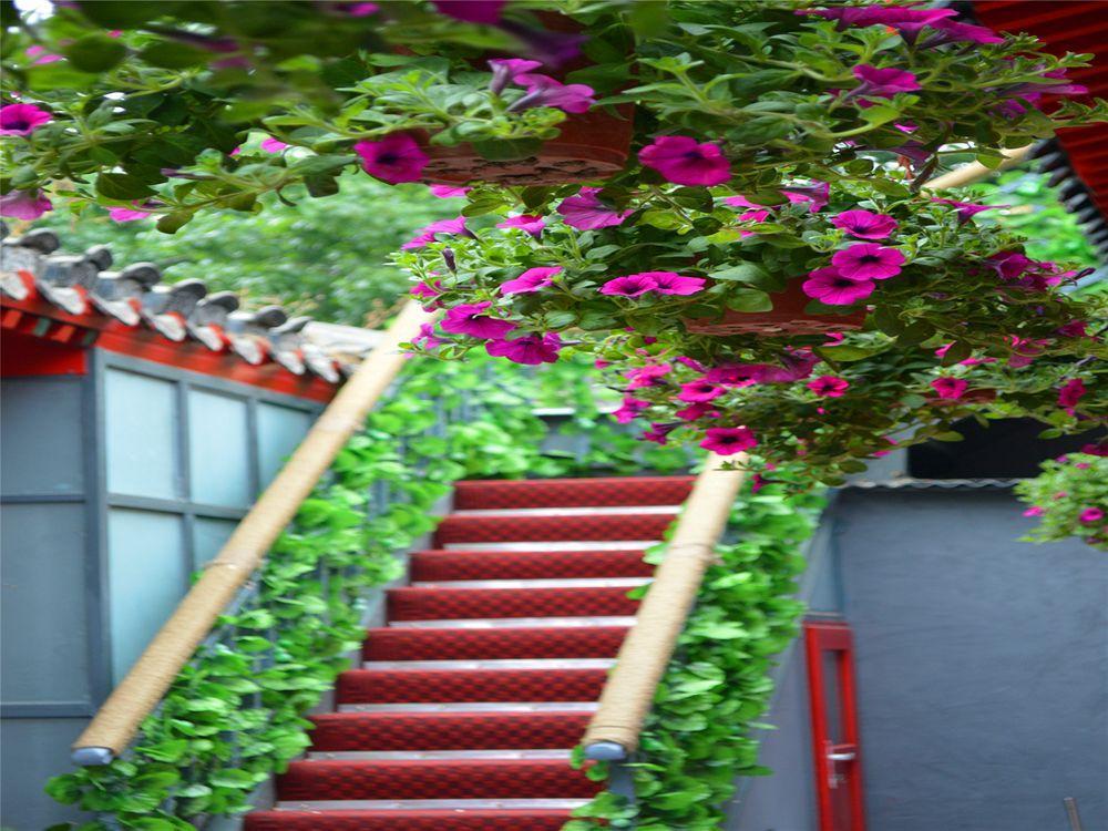 Beijing 161 Lama Temple Courtyard Hotel Exteriér fotografie
